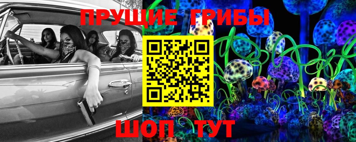 Псилоцибиновые грибы Psilocybe Кстово